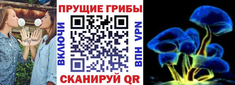 KRAKEN как зайти  Майский  Галлюциногенные грибы мухоморы 